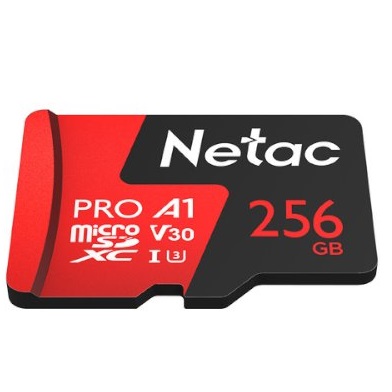 כרטיס זיכרון מיקרו אס די נטק Netac P500 Extreme Pro 256GB MicroSD Up To 100MB/s Read NT02P500PRO-256G-R